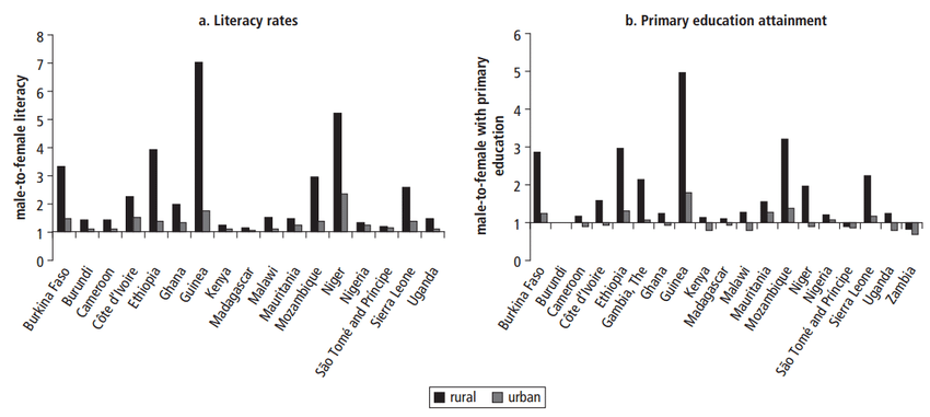 (c) Research Gate - Alice Evans, 2017. Rural-urban differences in literacy and school enrolment.